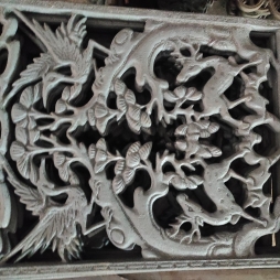 BÔNG GANG ẢNH 01