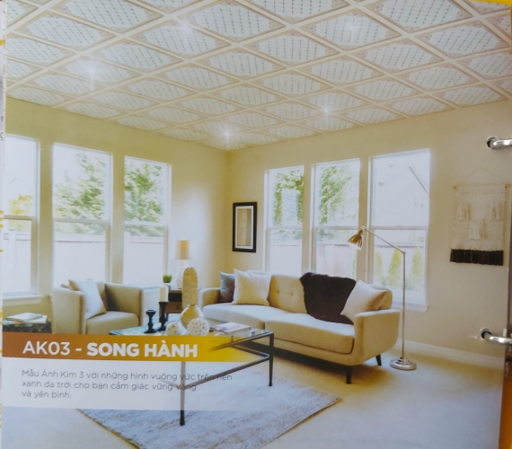 AK03-SONG HÀNH