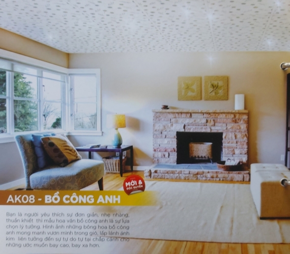 AK08-BỒ CÔNG ANH