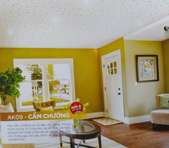 AK09-CẨM CHƯỚNG