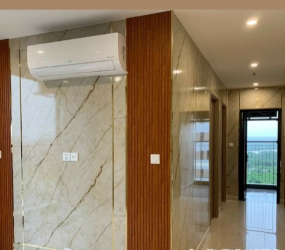 ẢNH MINH HỌA 5